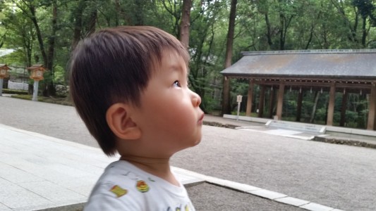 神楽が好きな子ども。神宮に行くといつも神楽を舞いだすのですが、大きい鳥居に圧倒され見つめる子どもでした。