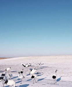 大切な方の思い出の地に立ち感動しました。
ありがとうございました。