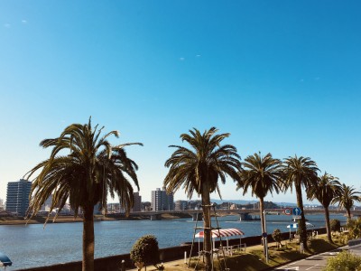 2019年大晦日。家族で過ごした時間にパシャリ。今年も一年家族が無事に過ごせて感謝の気持ちに。お天気もよく温かい気持ちになれました。