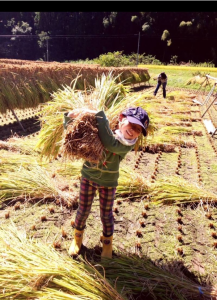 笑顔で両手に抱えられるだけの稲を抱えて掛け干しお手伝い。豊かな実りへの感謝が溢れる時間。