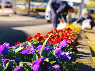 玄関に咲く季節の花。病院の帰りに気付いてくれたなら、それはきっと来た時よりも心と体が楽になってくれたからでしょうか。いつも綺麗でいるには毎日の手入れが欠かせません。その時のために元気に咲いてお待ちしています。