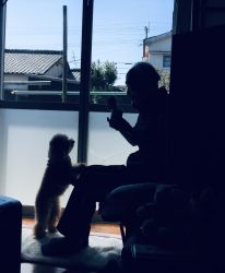 96歳の父とココが楽しく触れ合っている写真です。今までこれからも父に感謝、そして周りの人に安らぎを与えてくれる愛犬に感謝そして、すべてに「ありがとう」もっと長生きして欲しい父です。
2019/03/24 都城市の実家
